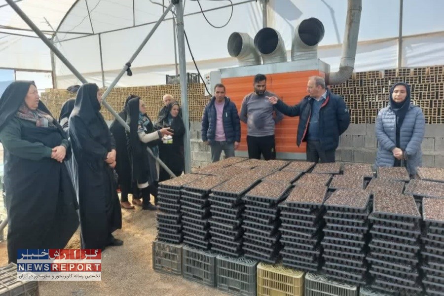 برگزاری 37 دوره مهارتی در قالب طرح افزایش نفوذ دانش در مرودشت