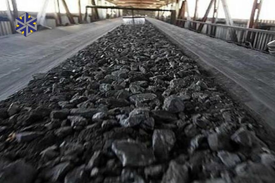 لغو فوری ممنوعیت صادرات کنسانتره؛ درس عبرتی برای تصمیم‌گیری‌های شتاب‌زده