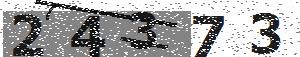 تصویر امنیتی