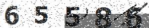 تصویر امنیتی