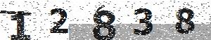 تصویر امنیتی
